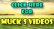 TAD banner